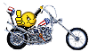 :bike02